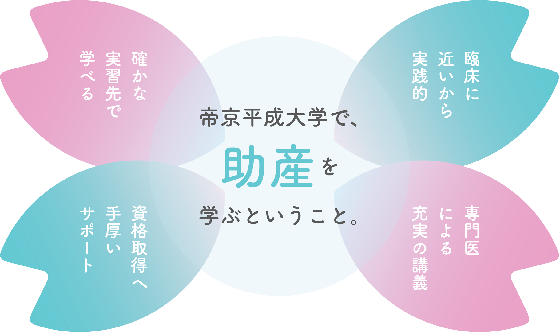 josanbekka_manabi_2026.png