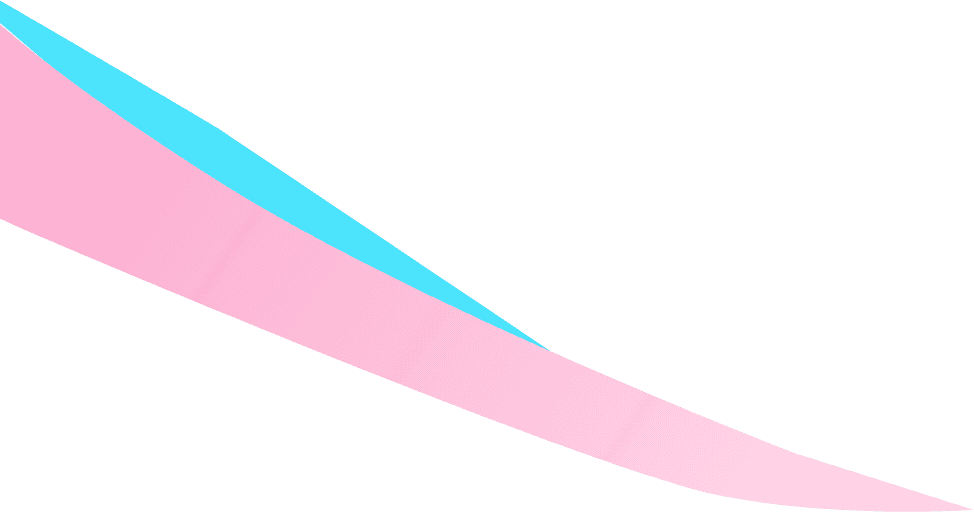 #全国有数の国家試験合格者数