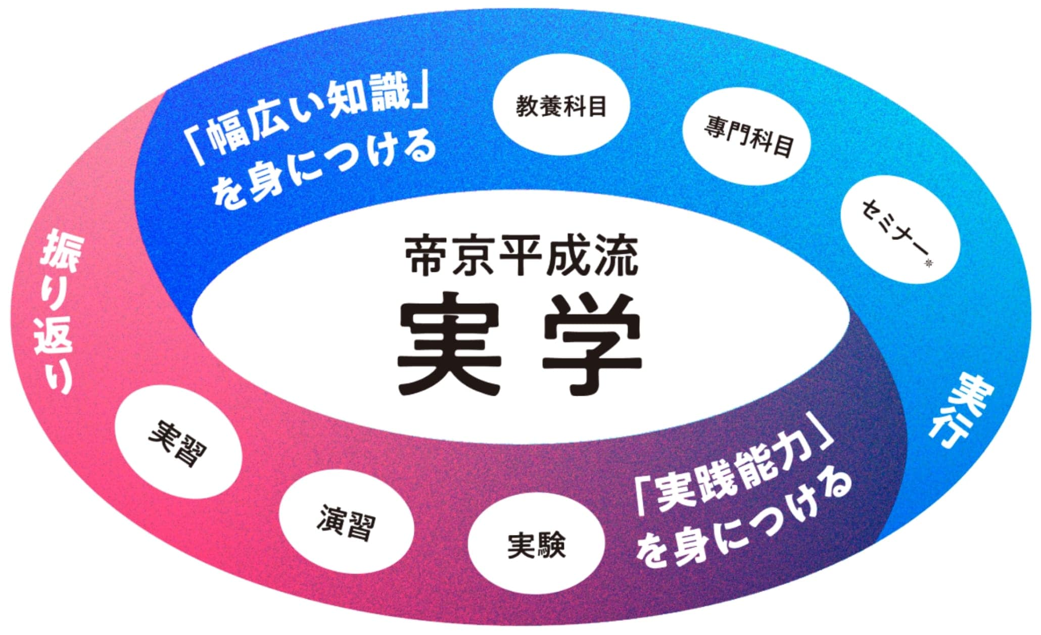 帝京平成流 実学：幅広い知識を身につける（教養科目、専門科目、セミナー）、実践能力を身につける（実習、演習、実験）、振り返り、実行のサイクル