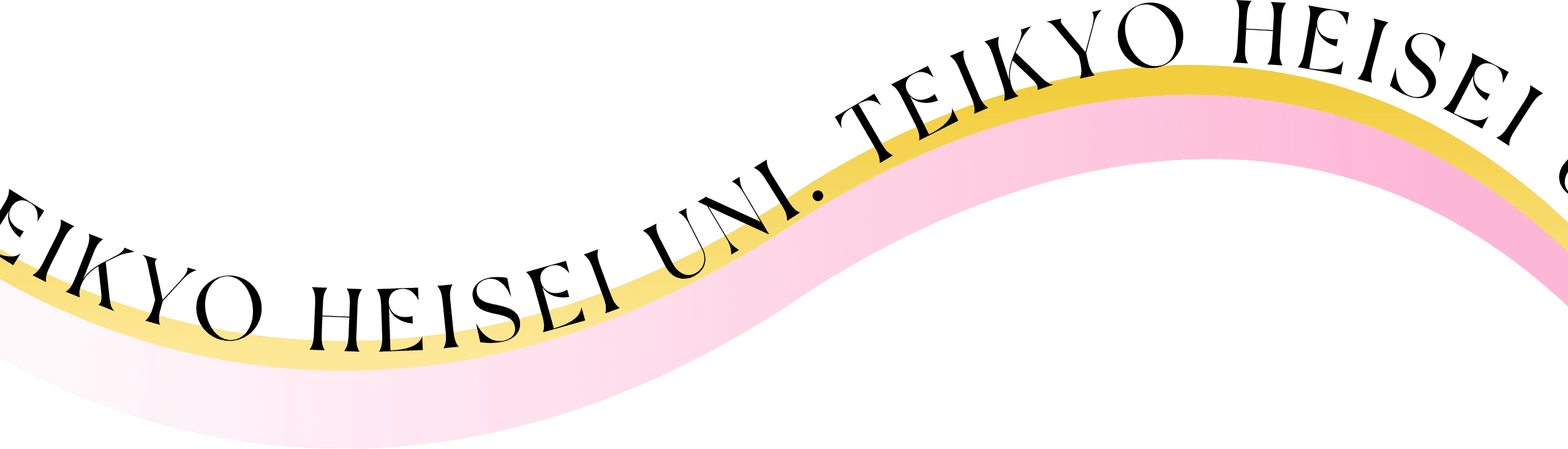TEIKYO HEISEI UNI.