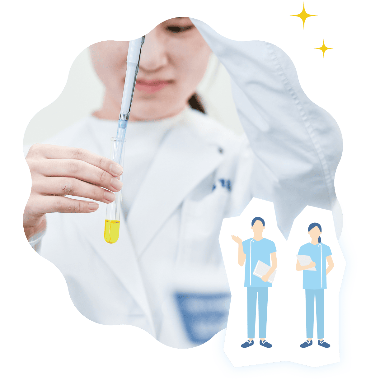 帝京平成大学の医療系学部