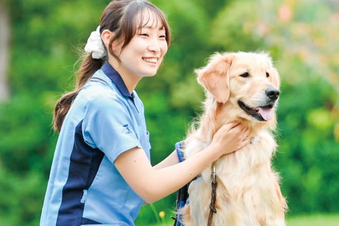 愛玩動物看護師