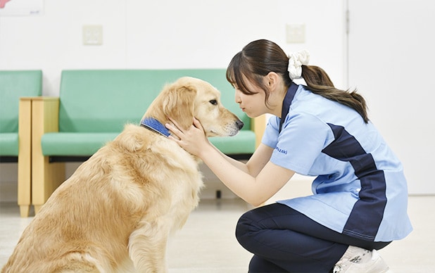 学内犬模擬しつけ教室
